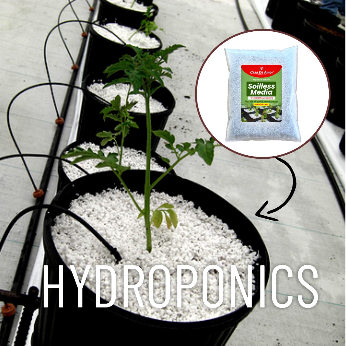 Casa De Amor Soilless Growing Media for hydroponics, Rooting cuttings, Seedling and Gardening