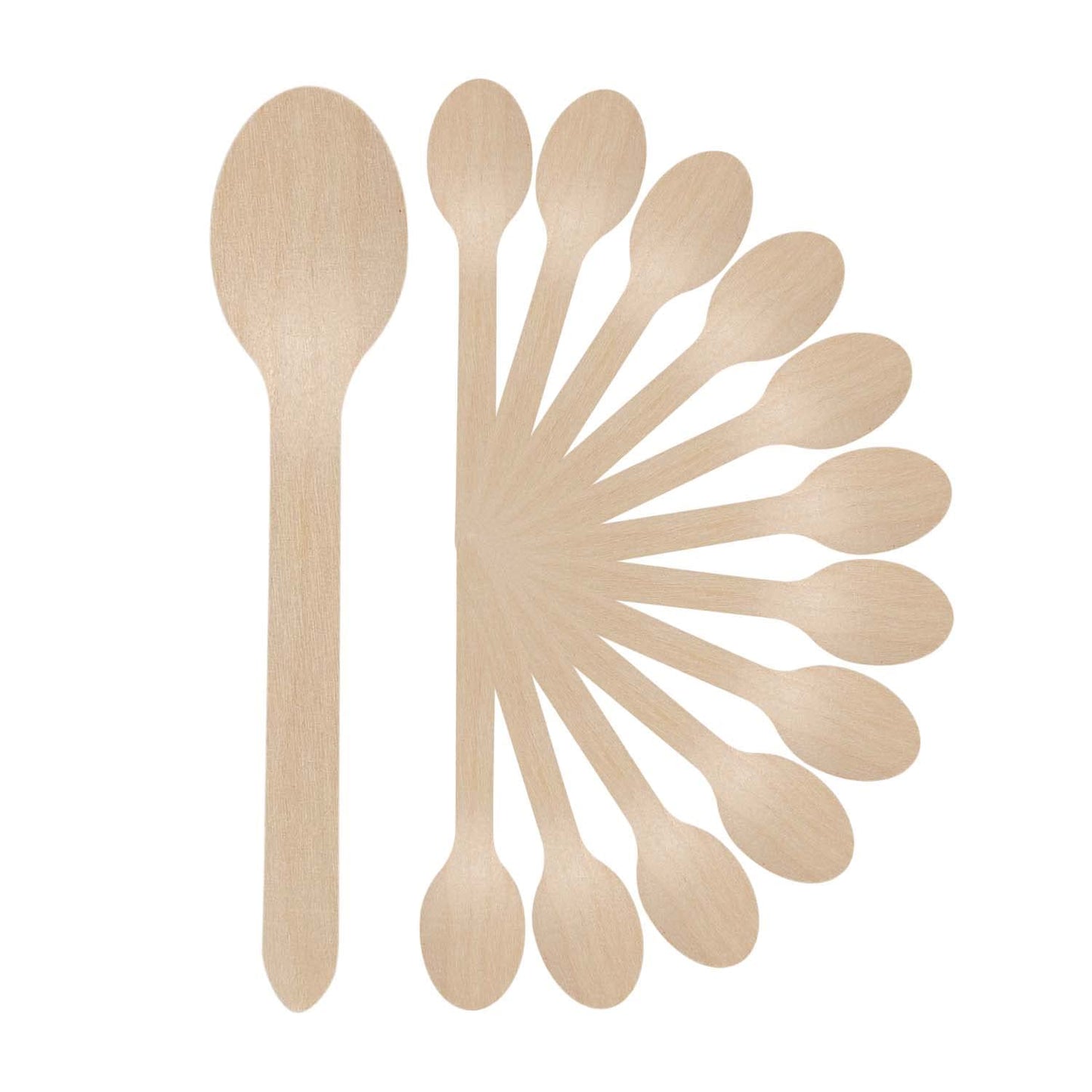Disposable Wooden Spoons, 140 mm | Spoon for Home Use | Eco-Friendly | Disposable Spoon (Pack of 100)