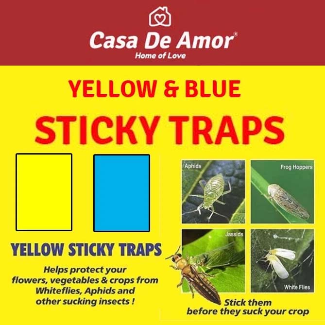 Buy Sticky Pads for Insects Online in India - Casa De Amor