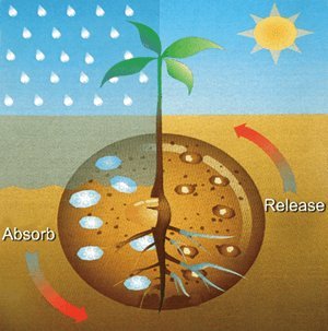 Casa De Amor Water Retaining Super Absorbent Polymer for Soil Mixing and Hydroponics Gardening - Casa De Amor Organic Gardening India