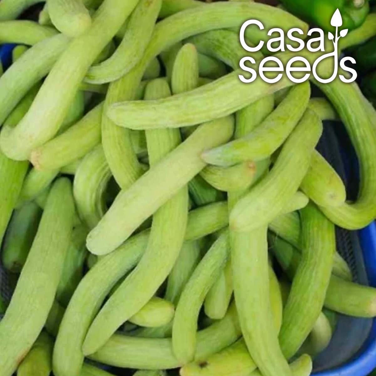 Long Melon (Tar Kakdi)- 50 Seeds