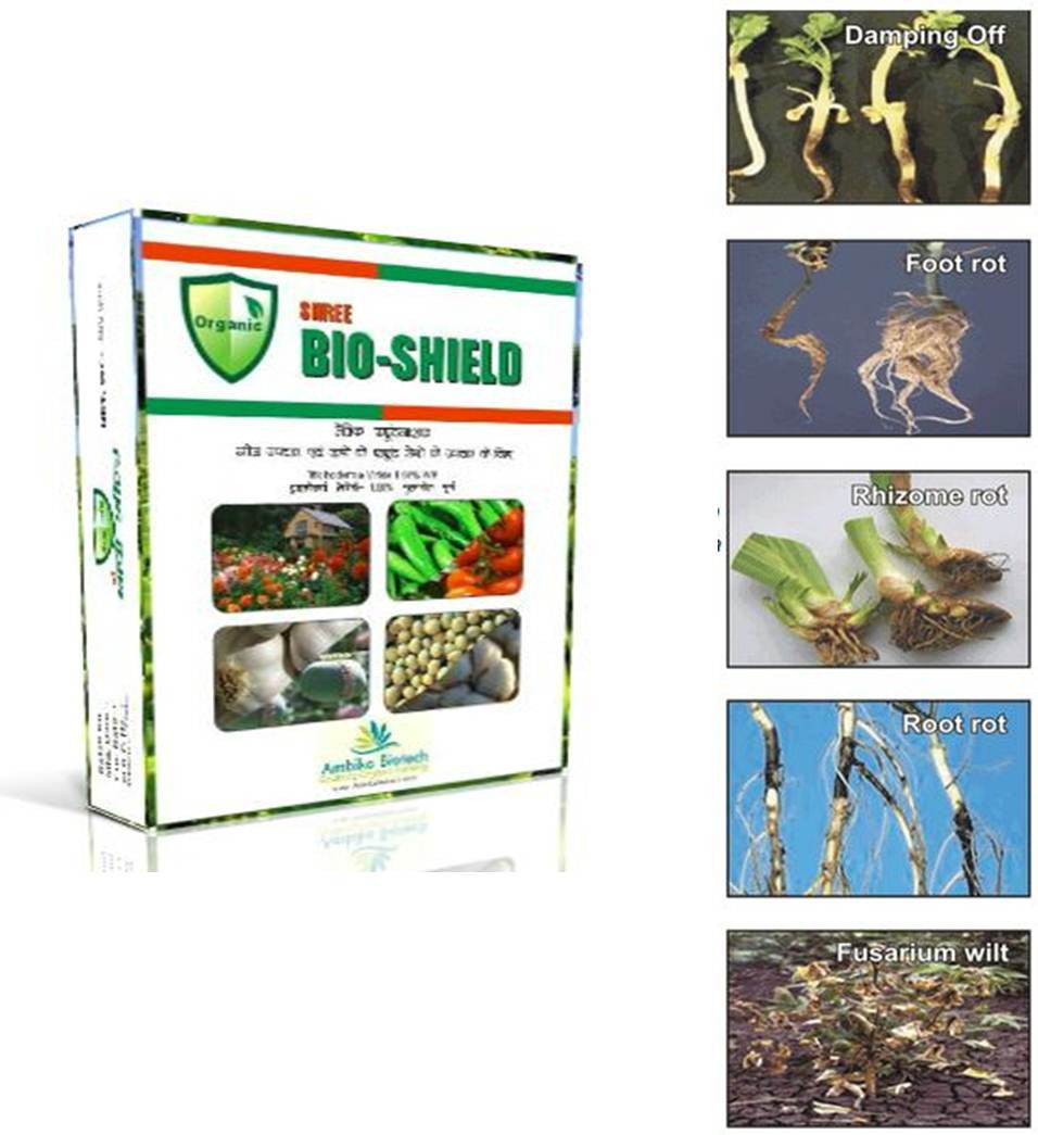 Trichoderma Sp. Effective Micro-organism for Gardening & Farming - Casa De Amor Organic Gardening India