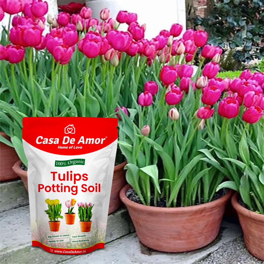 Casa De Amor Tulips Plant Potting Soil, 100% Natural and Organic