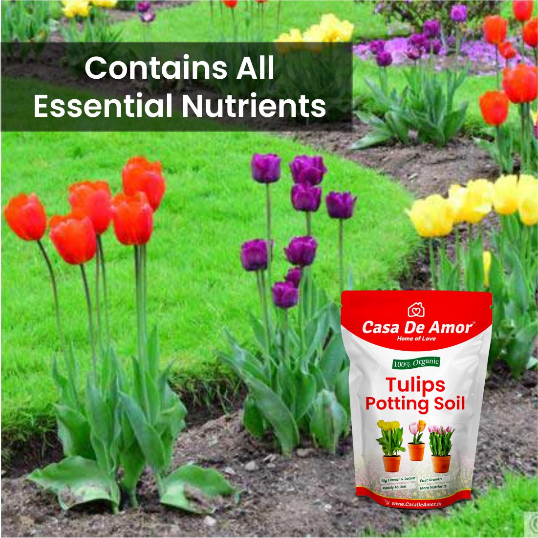 Casa De Amor Tulips Plant Potting Soil, 100% Natural and Organic