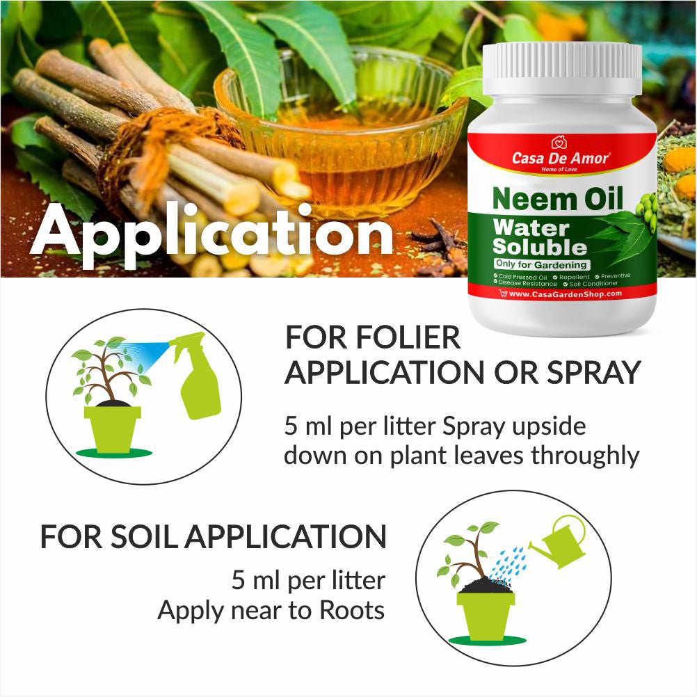 how to apply neem oil