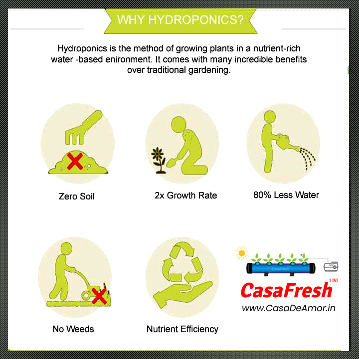 CasaFresh Hydroponics Kit for Home- 5 Plants, Beginners Hydroponic System- Reusable for Indoor/Outdoor hydroponics, Seeds Included