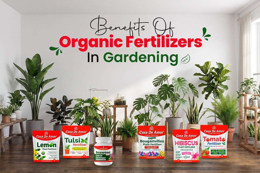 Benefits of Organic Fertilizers in Gardening: What They Actually Do for Your Plants