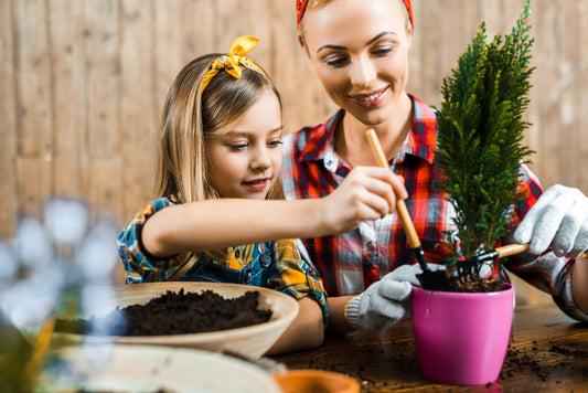 Best Potting Soil for Indoor/Outdoor & Terrace Gardening