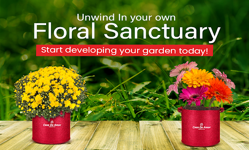 Make Your Home Garden a Heaven With Flowers
