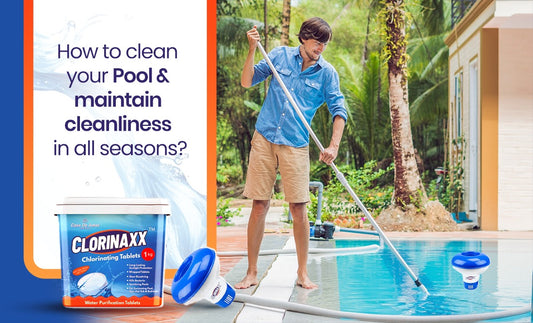 How to Clean your Home Pool and Maintain Cleanliness in all Seasons