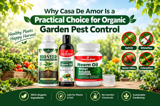 Why Casa De Amor Is a Practical Choice for Organic Garden Pest Control?