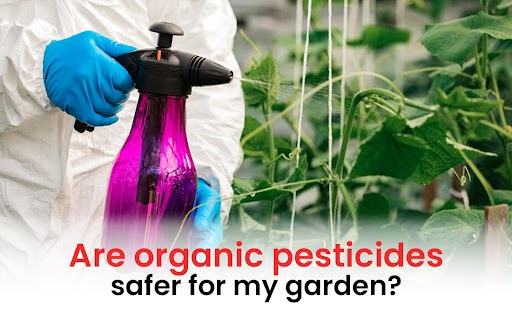 Are organic pesticides safer for my garden?