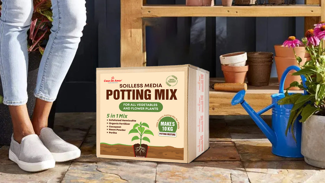 Create the Perfect Potting Mix with Our 5-in-1 DIY Kit