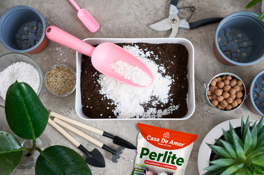 Gardening Gold: Why Perlite is Your Plant's Best Friend
