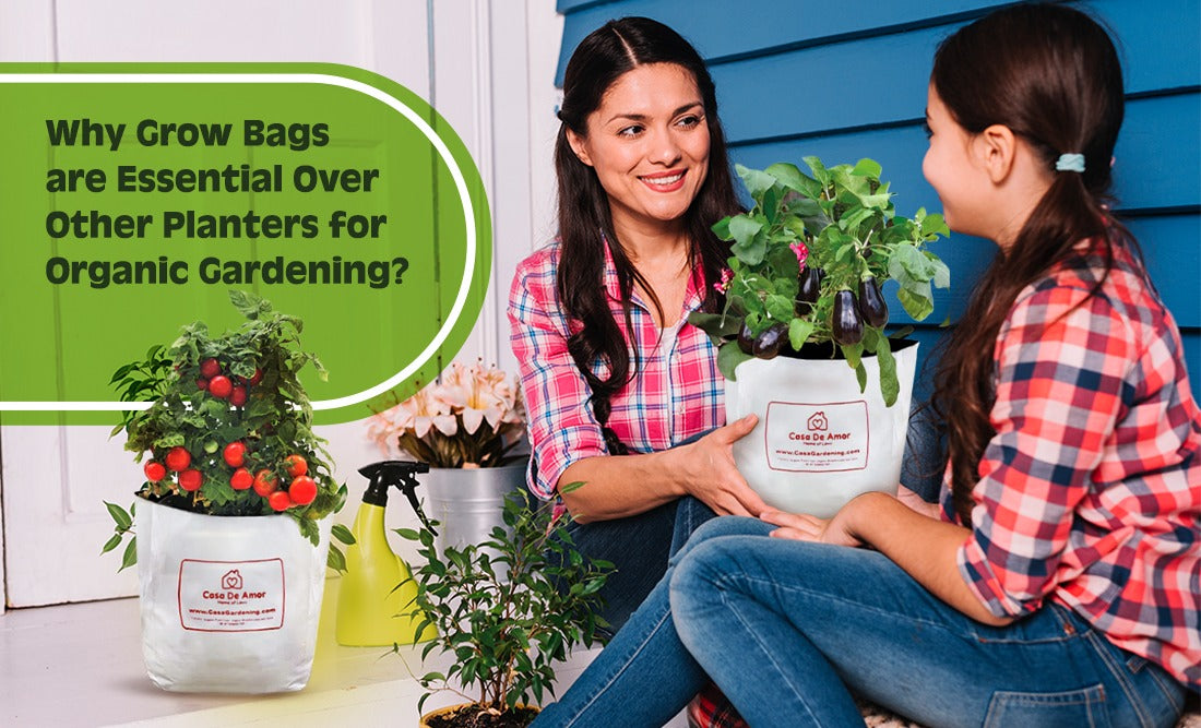 Why Grow Bags are Essential Over Other Planters for Organic Gardening ?