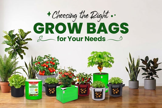 Choosing the Right Grow Bags for Your Needs
