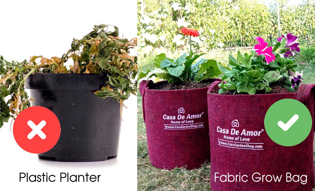 Choosing the Right Planter for Your Plants: A Comparison of Plastic and Fabric Planters