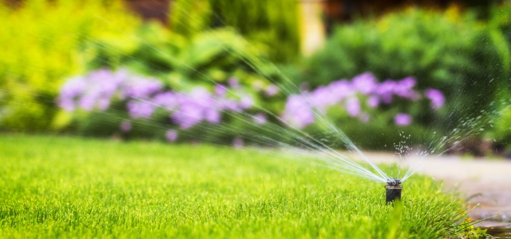 How to Avoid Over-Watering the Lawn