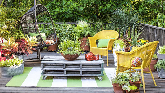 All you need to know about - Terrace gardening