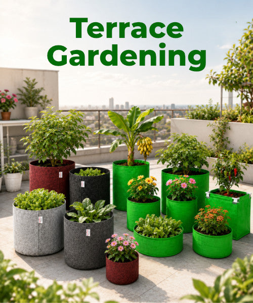 Terrace Gardening