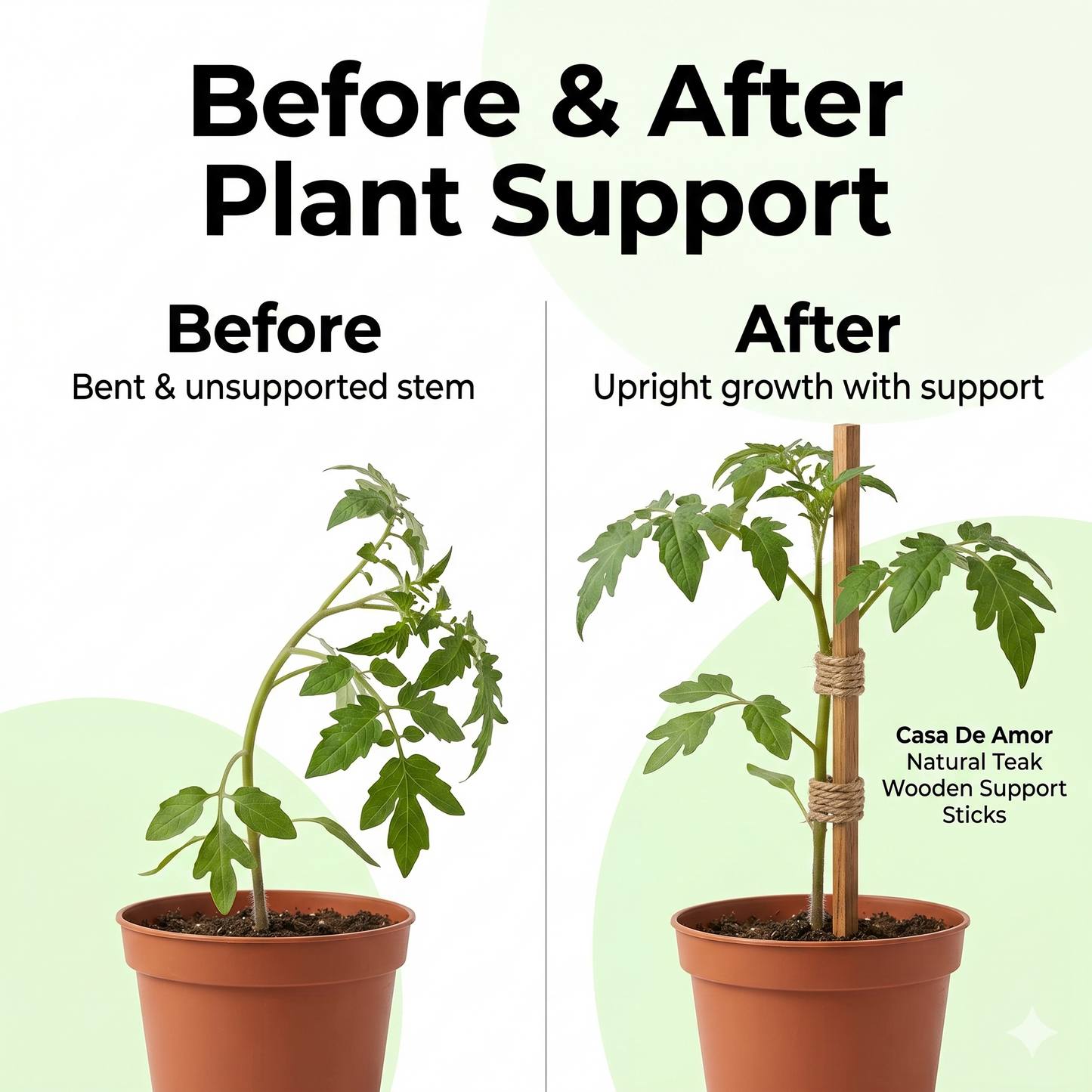 Casa De Amor Natural Teak Wooden Support Sticks for Plant Stem Support, Square Garden Stakes for Indoor & Outdoor Gardening, 3 Feet Long