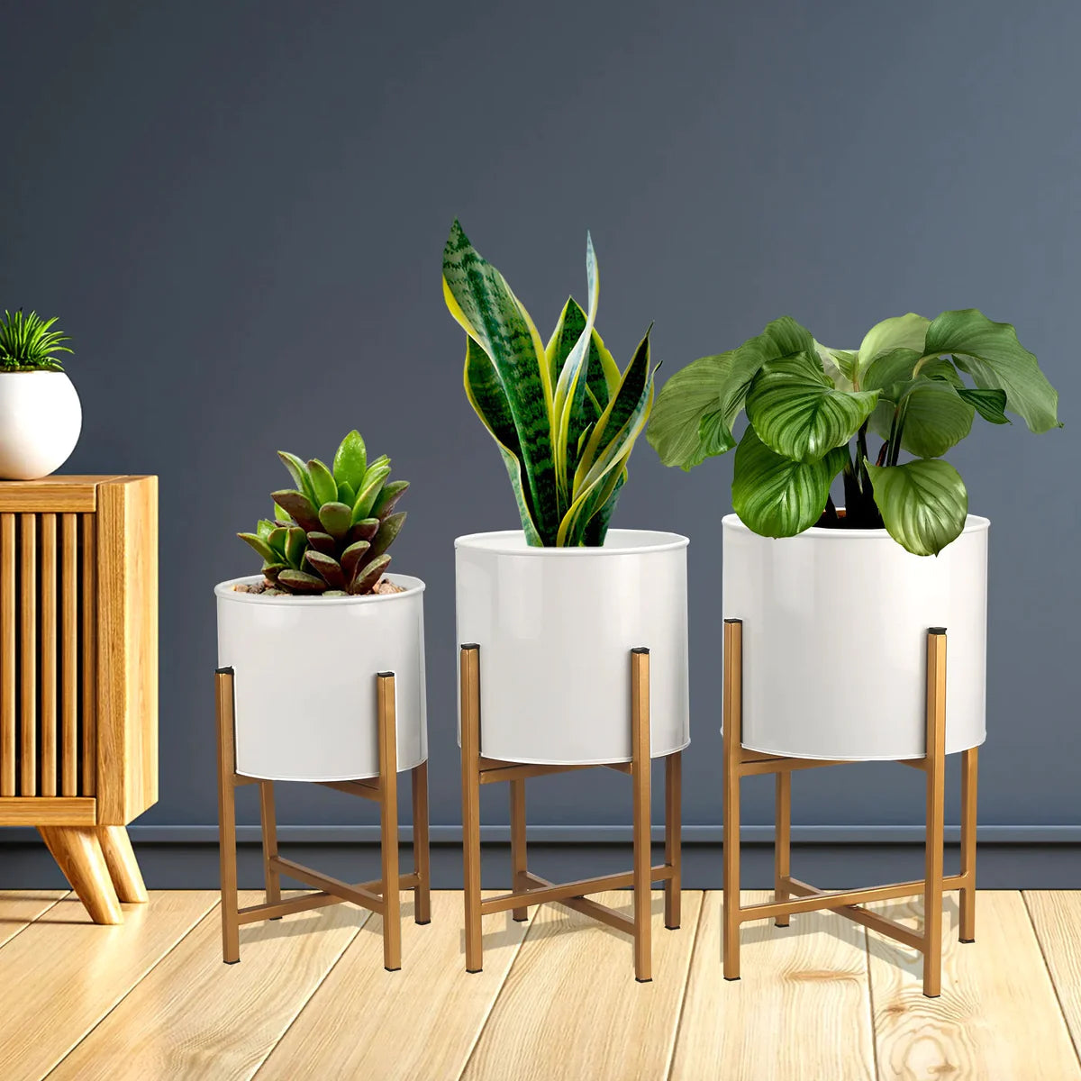 Casa De Amor Decorative Planters for Best for Indoor Plants, Living Room, Bedroom, Balcony (Set of 3)