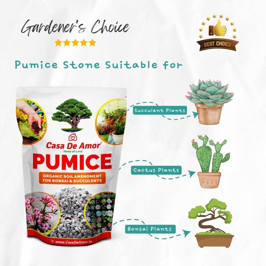 Casa De Amor Pumice Organic Soil Amendment for Bonsai, Succulents and Cactus Plants