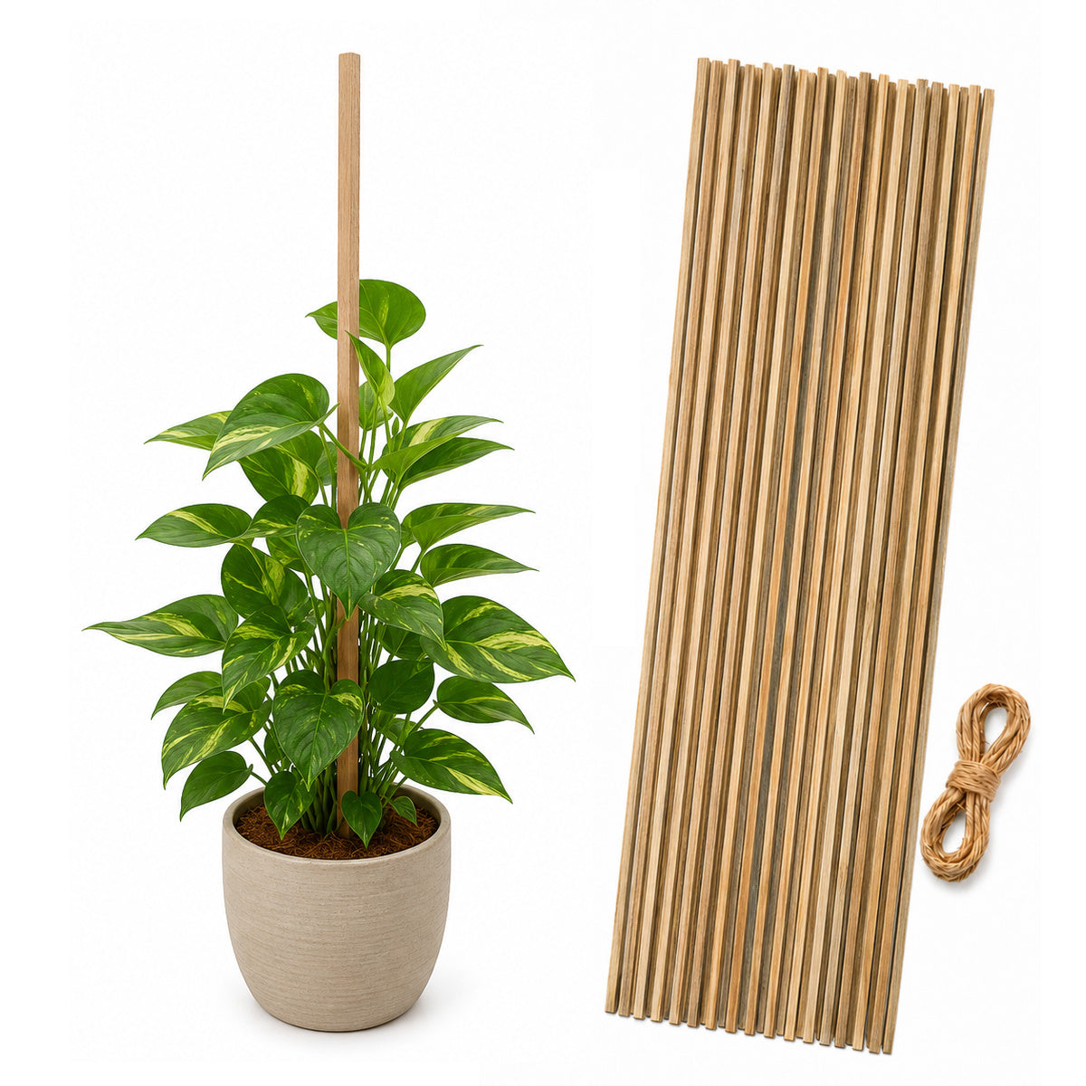 Casa De Amor Natural Teak Wooden Support Sticks for Plant Stem Support, Square Garden Stakes for Indoor & Outdoor Gardening, 3 Feet Long