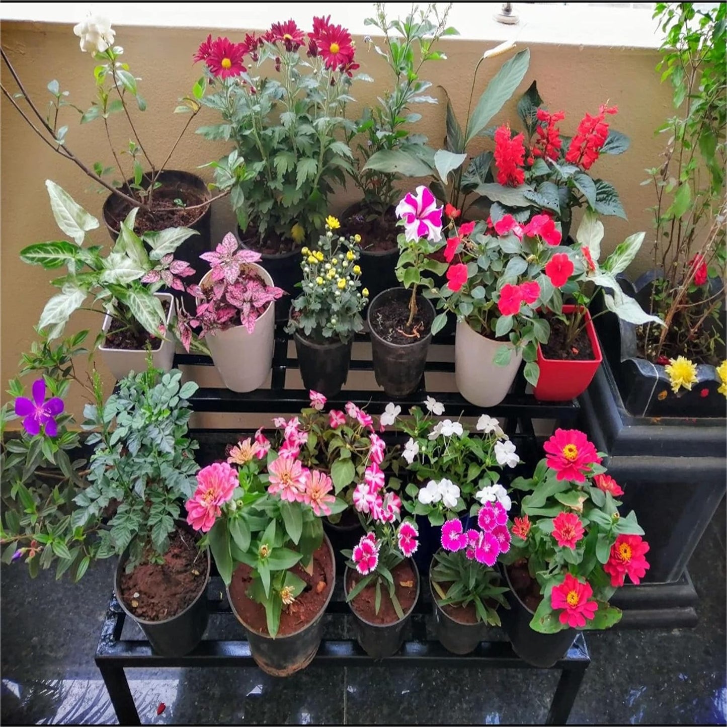 Casa De Amor 2 Step Planter Pot Stand- Outdoor & Indoor Garden Stand (Easy Assembly)