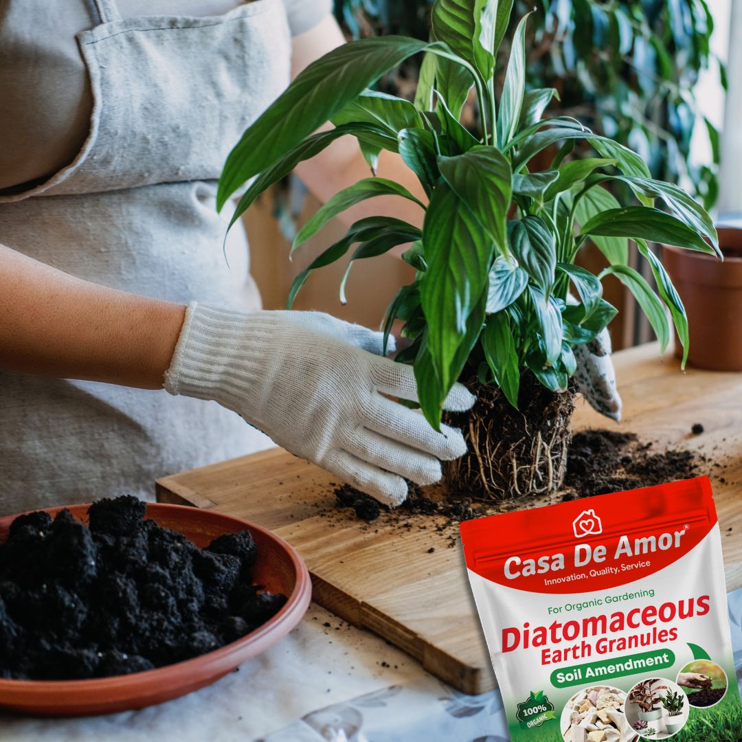 Casa De Amor Diatomaceous Earth Granules for Soil Amendment- 900 gm