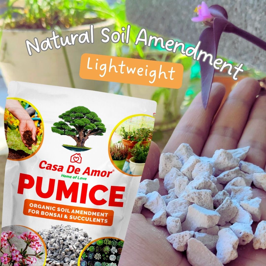 Casa De Amor Pumice Organic Soil Amendment for Bonsai, Succulents and Cactus Plants