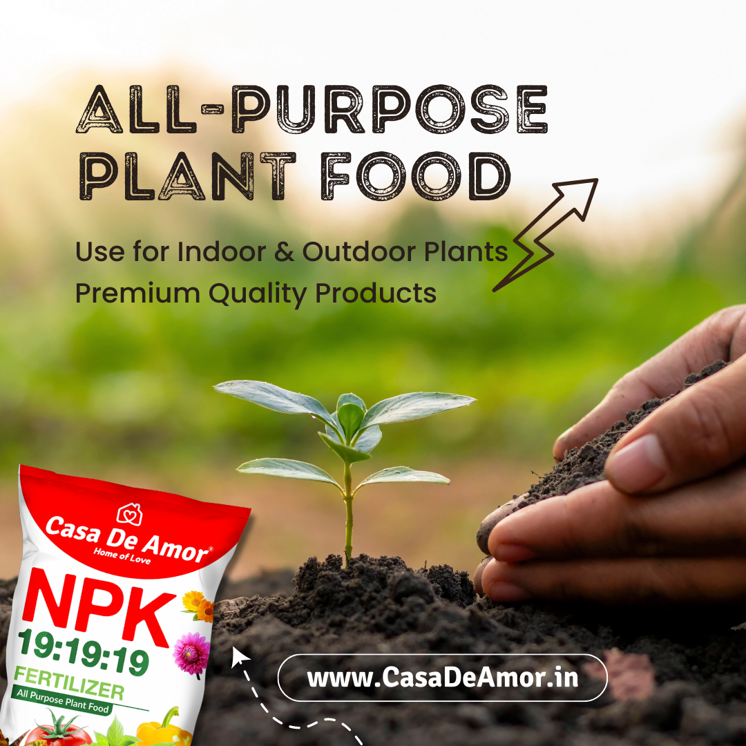 NPK 19 19 19 Fertilizer for Plants and Gardening All Purpose Plant Food