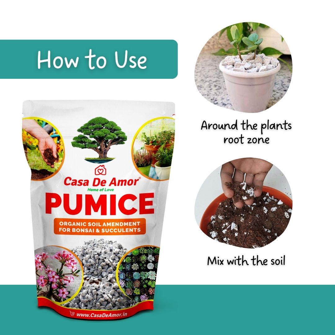 Casa De Amor Pumice Organic Soil Amendment for Bonsai, Succulents and Cactus Plants