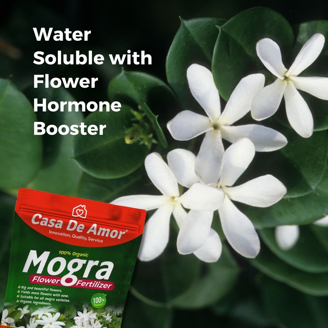 Casa De Amor Organic Mogra / Jasmine Plant Fertilizer | Water Soluble for Abundant Jasmine Blooms and Vibrant Growth