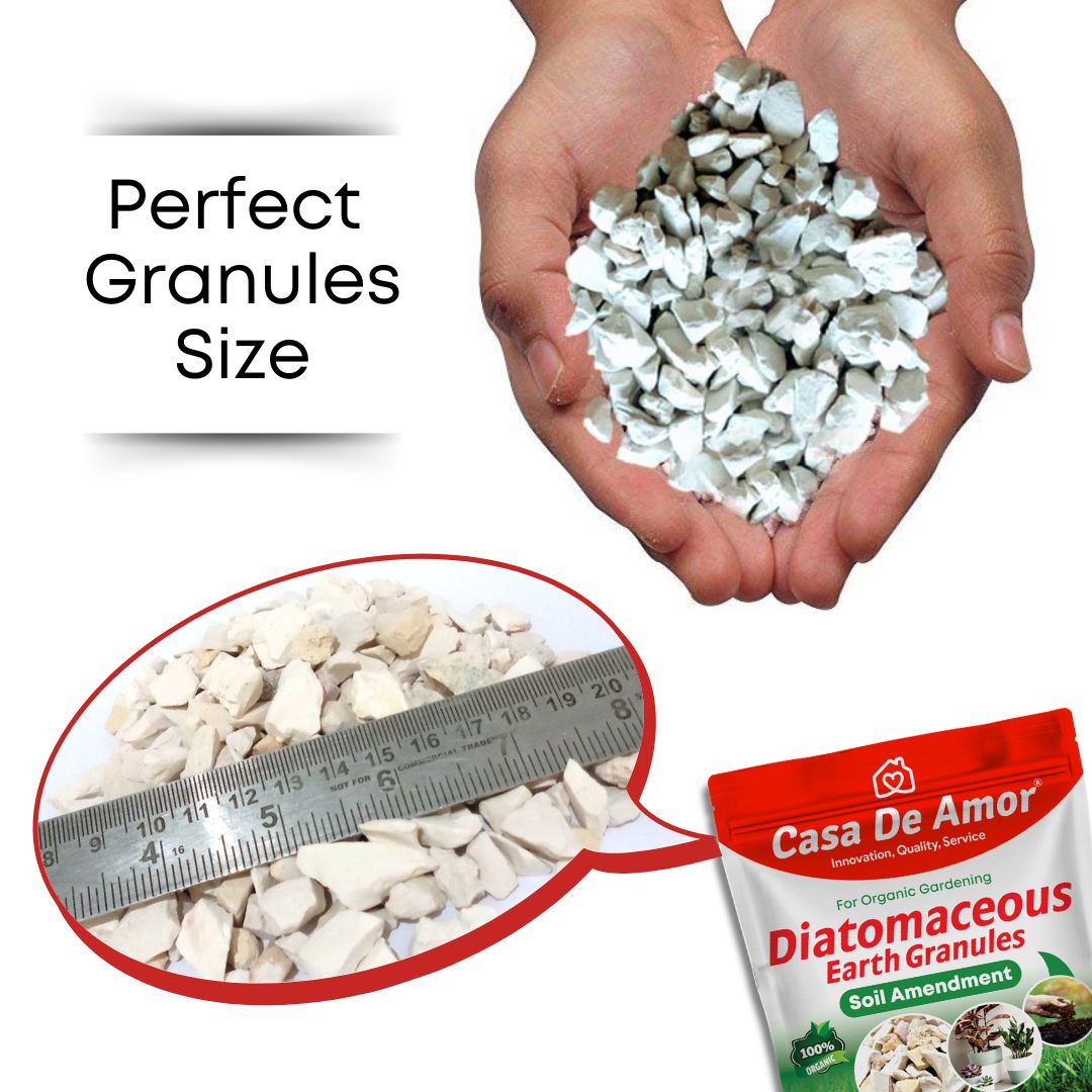 Casa De Amor Diatomaceous Earth Granules for Soil Amendment- 900 gm