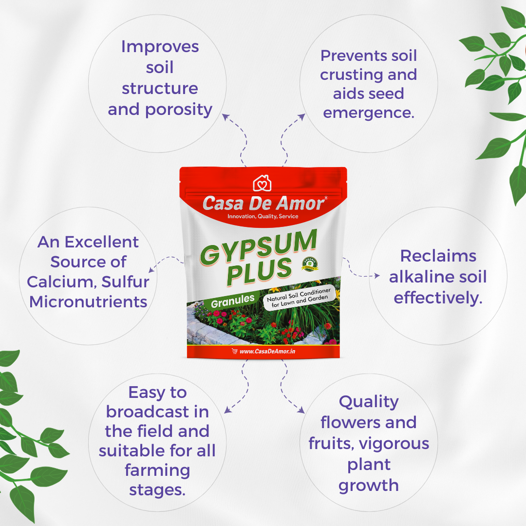 Casa De Amor Gypsum for Plants Natural Soil Conditioner for Lawn and Garden