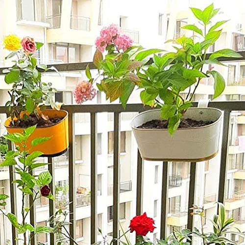 Casa De Amor Oval Rectangular Metal Plant Pots for Balcony Railing, 12 Inches (White, Set of 6)