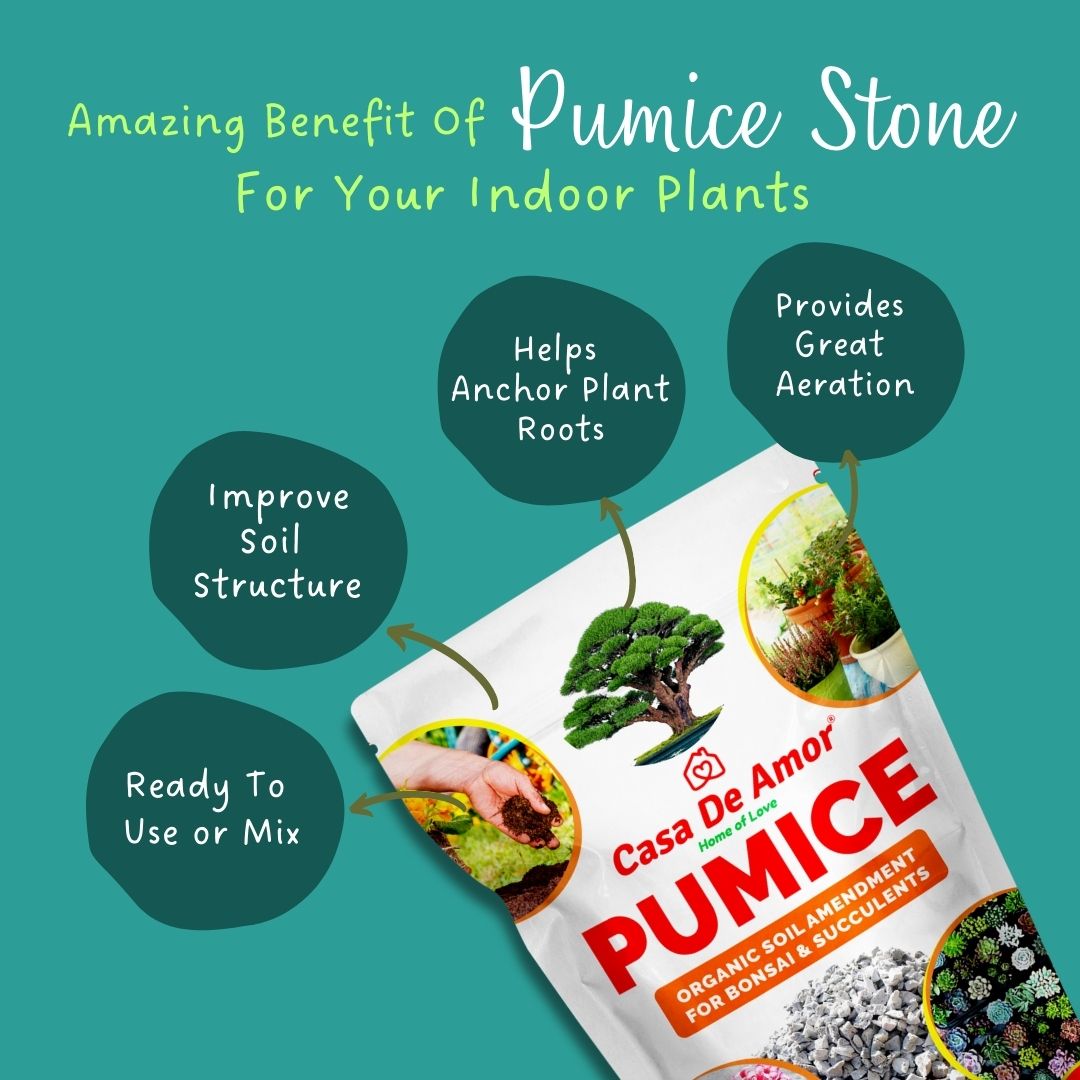 Casa De Amor Pumice Organic Soil Amendment for Bonsai, Succulents and Cactus Plants