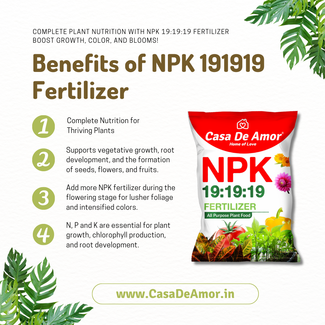 NPK 19 19 19 Fertilizer