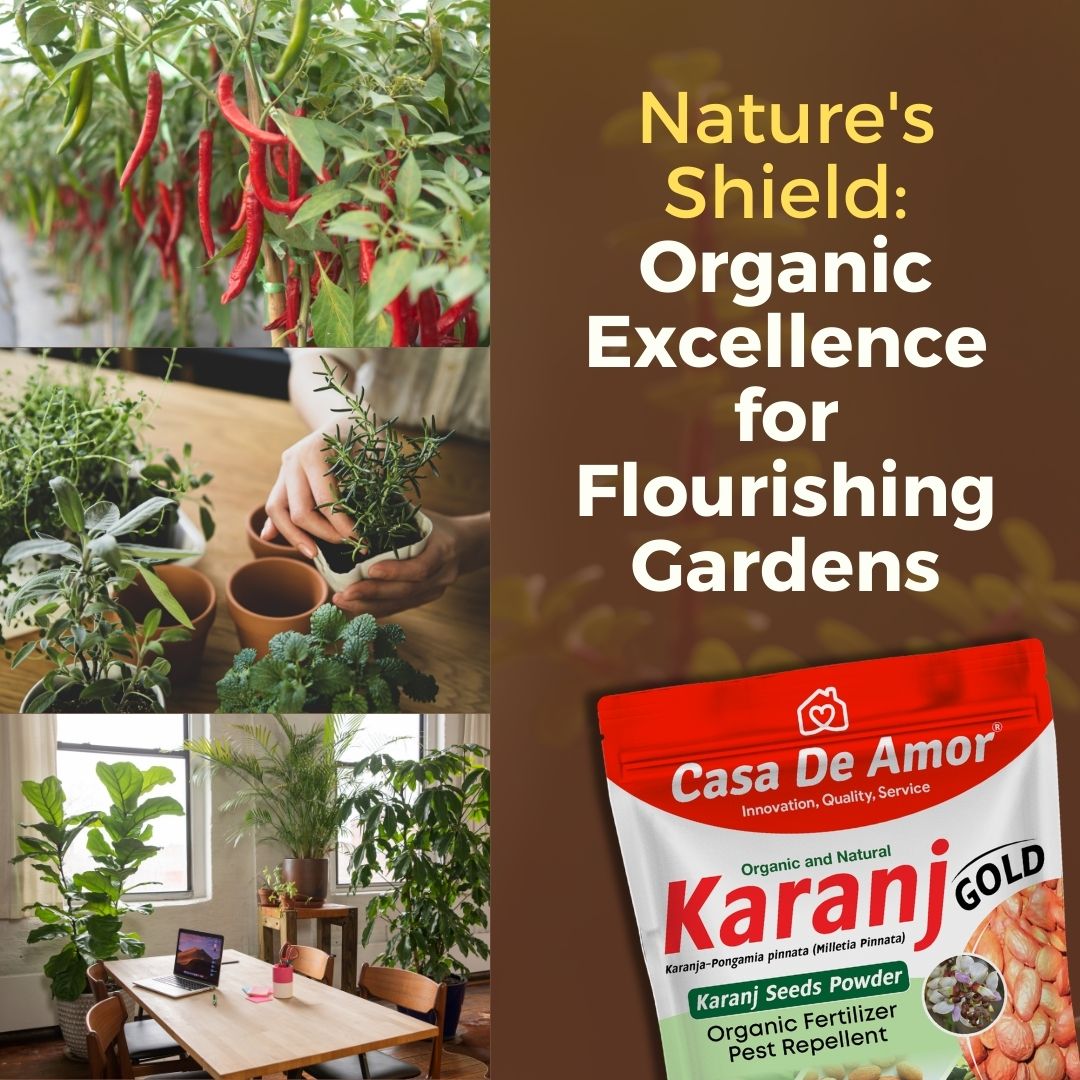 Karanj Powder Organic Fertilizer & Pest Repellent 900 gm