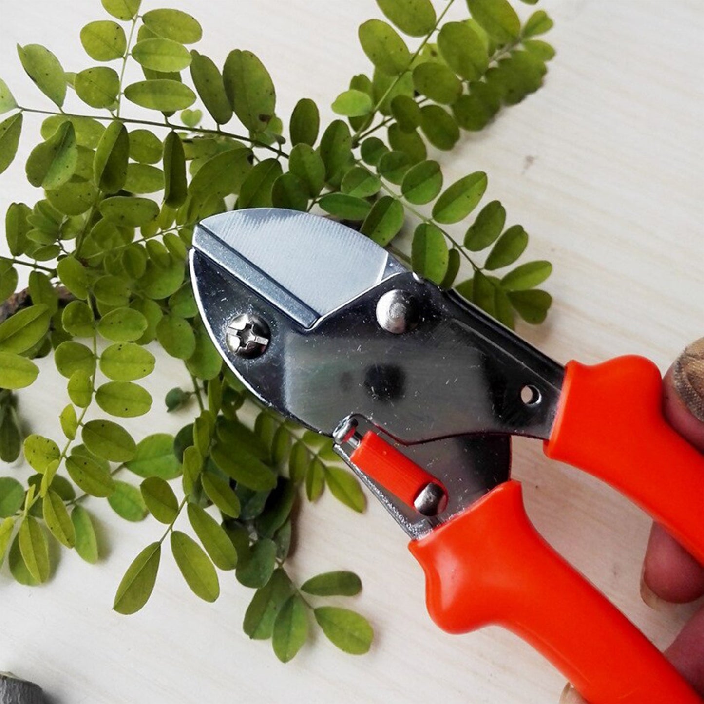Casa De Amor Pruning Shear Cutter - 1 Pc ( Anvil Pruner, Steel Blade) | Plant Cutter for Home Garden | Wood Branch Trimmer