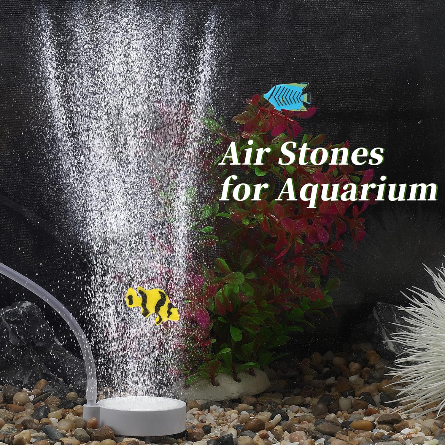 Casa De Amor Aquarium Air Stone Disc Bubble Diffuser Round 2 inch F