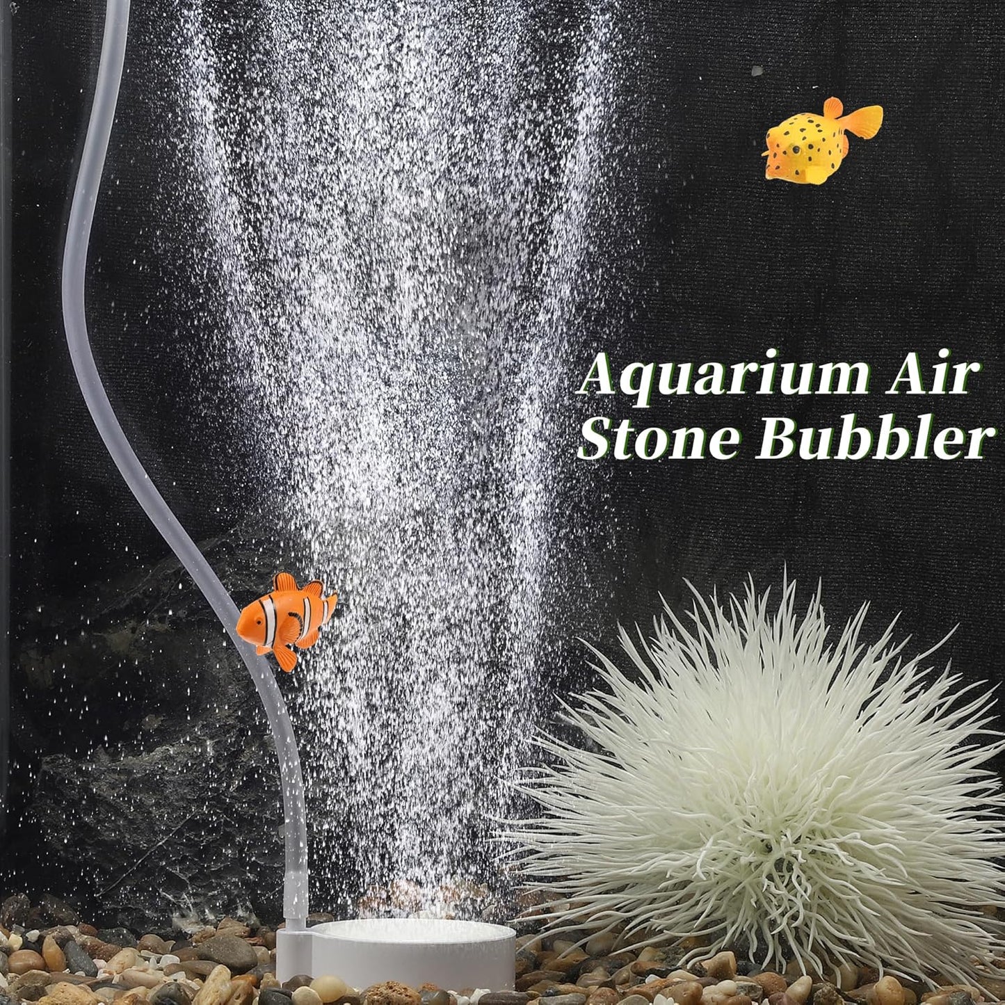 Casa De Amor Aquarium Air Stone Disc Bubble Diffuser Round , 2 inch- Fish Tank Air Bubbler For Aquarium Pump & Hydroponics with 1.5m Air Tubing