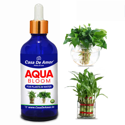 Casa De Amor- Aqua Bloom - Liquid Fertilizer for Lucky Bamboo, Money Plants & Aquatic Plants (in Water) 100 ml Premium Glass bottle with Glass dropper