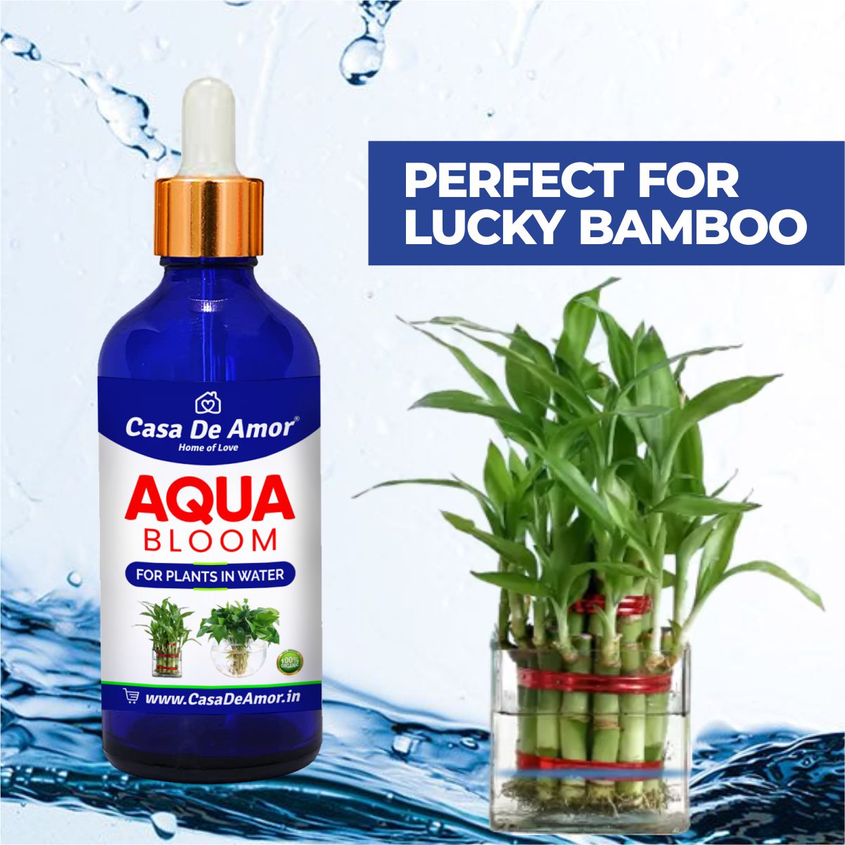 Casa De Amor- Aqua Bloom - Liquid Fertilizer for Lucky Bamboo, Money Plants & Aquatic Plants (in Water) 100 ml Premium Glass bottle with Glass dropper