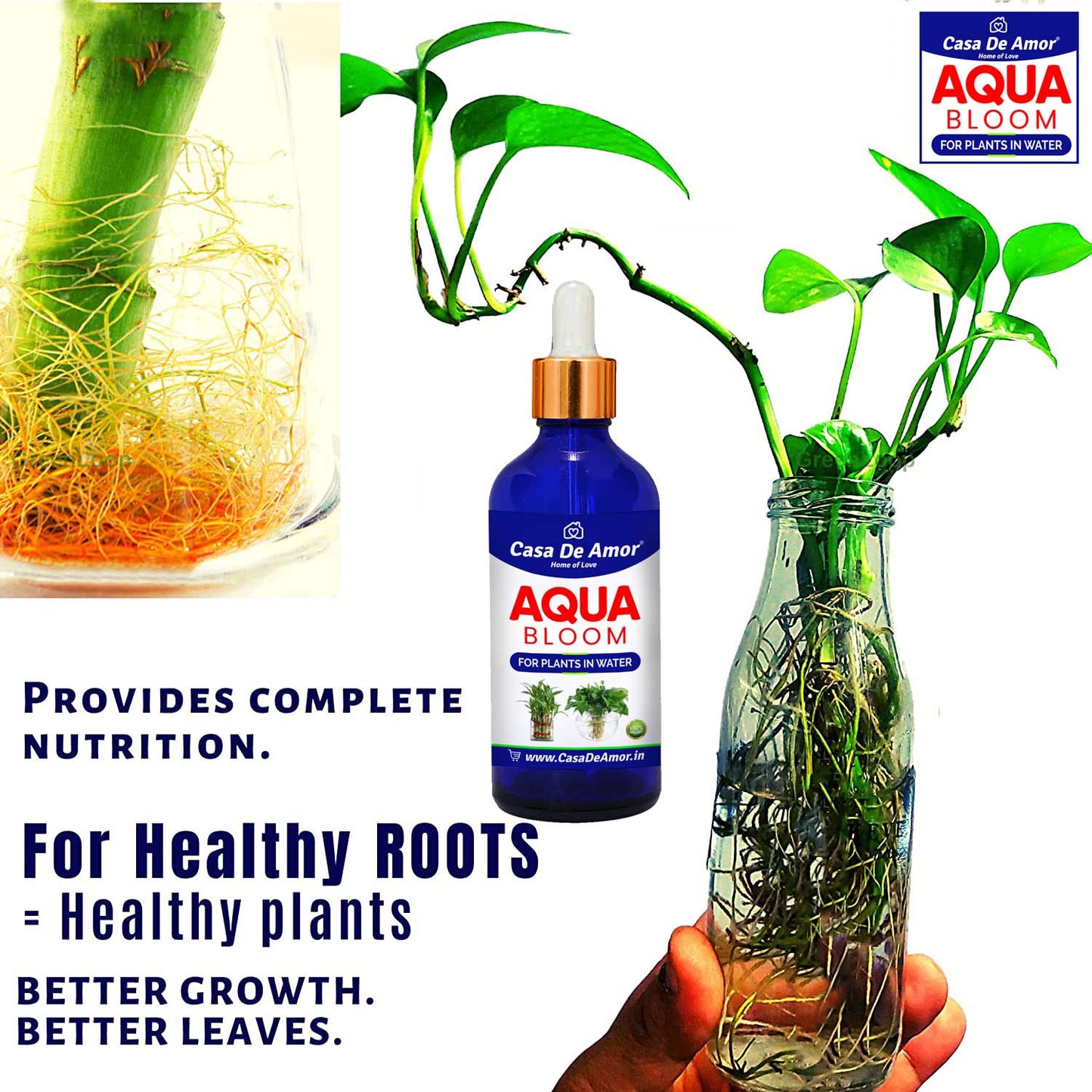 Casa De Amor- Aqua Bloom - Liquid Fertilizer for Lucky Bamboo, Money Plants & Aquatic Plants (in Water) 100 ml Premium Glass bottle with Glass dropper