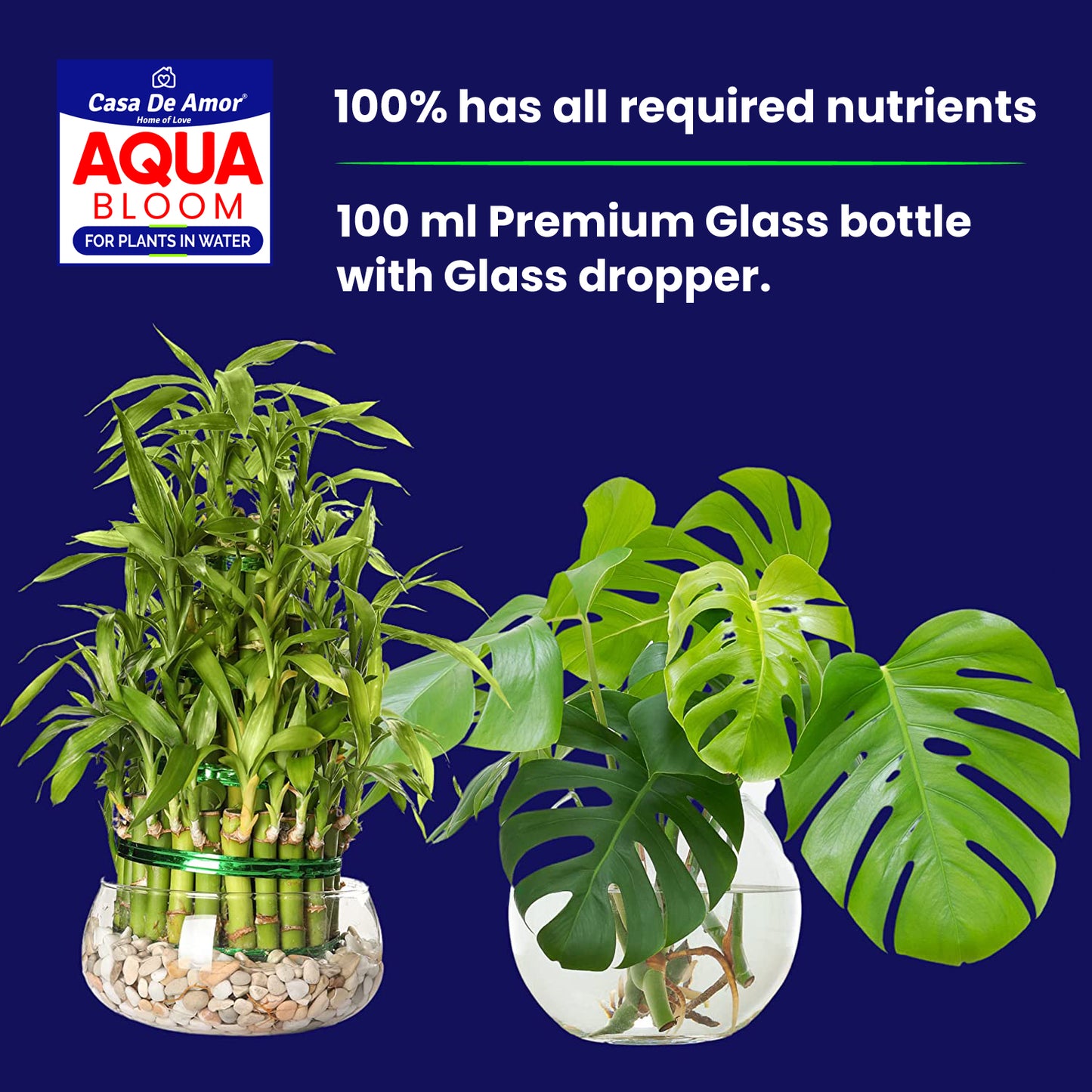 Casa De Amor- Aqua Bloom - Liquid Fertilizer for Lucky Bamboo, Money Plants & Aquatic Plants (in Water) 100 ml Premium Glass bottle with Glass dropper