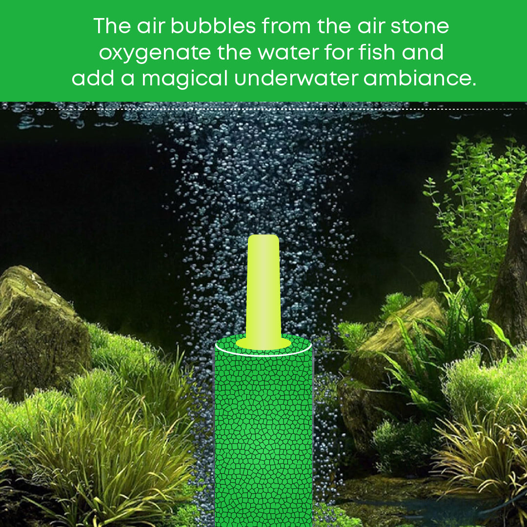 Casa De Amor 1 Inch Air Stone Cylinder Bubble Diffuser for Aquarium Fish Tank Air Pump Hydroponics