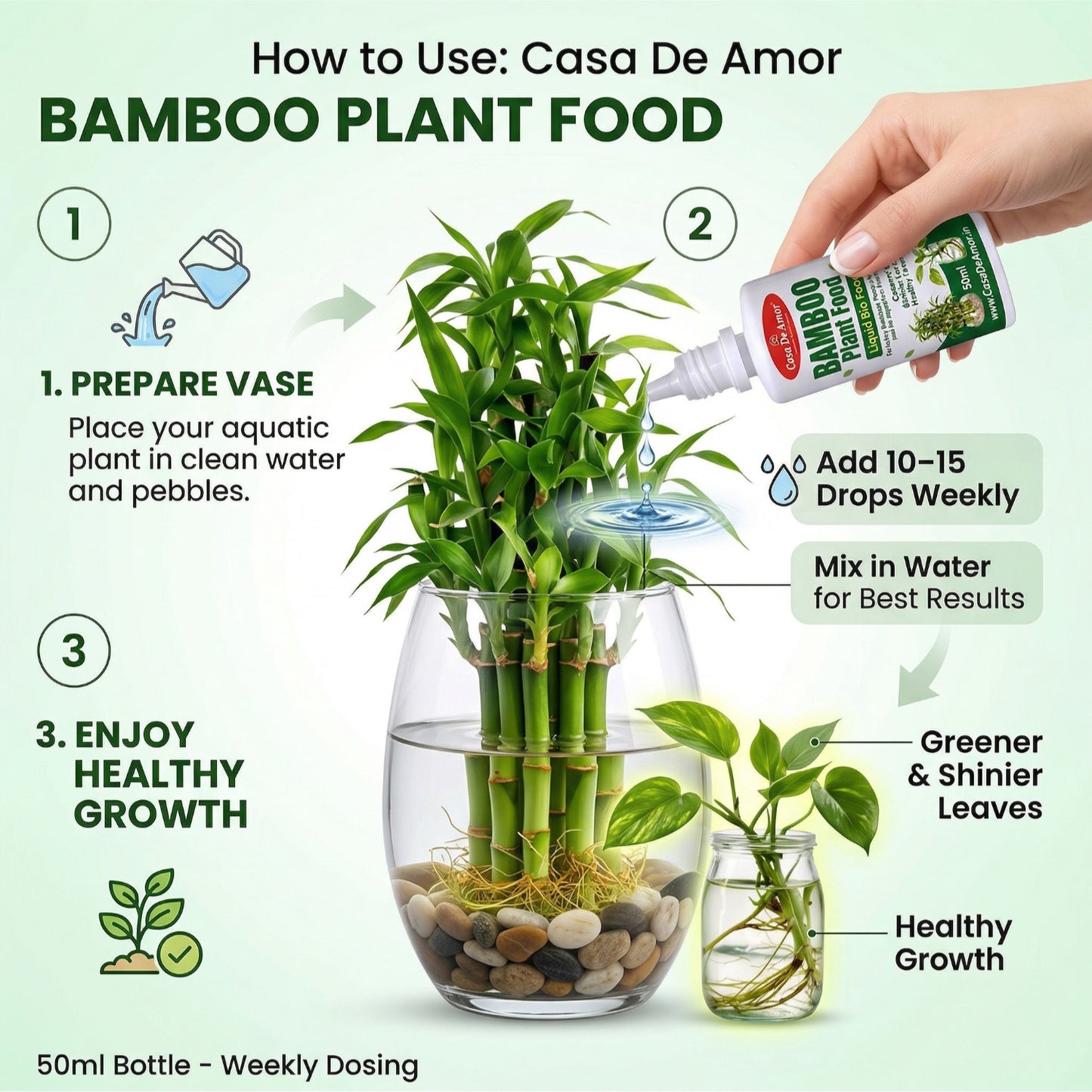 Casa De Amor Bamboo Plant Food for Lucky Bamboo & Money Plants | 2 x 50ml (100ml Total)