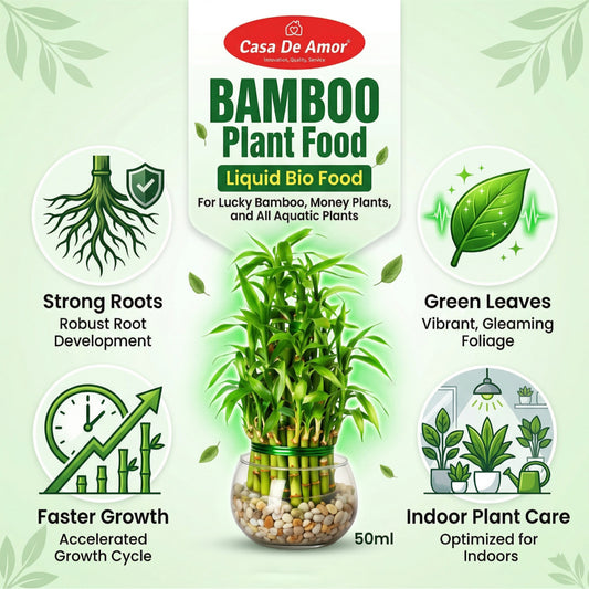 Casa De Amor Bamboo Plant Food for Lucky Bamboo & Money Plants | 2 x 50ml (100ml Total)